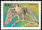 Peregrine Falcon Falco peregrinus  1994 Birds of prey 