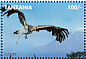 White-backed Vulture Gyps africanus  1995 Kilimanjaro safari 16v sheet
