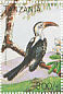 Northern Red-billed Hornbill Tockus erythrorhynchus  1996 Birds Sheet