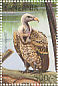 Rüppell's Vulture Gyps rueppelli  1996 Birds Sheet