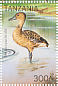 Fulvous Whistling Duck Dendrocygna bicolor  1996 Birds Sheet