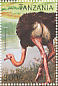 Common Ostrich Struthio camelus  1996 Birds Sheet