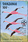 Lesser Flamingo Phoeniconaias minor  1996 Scouts overprint on 1993.01 12v sheet