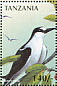 Sooty Tern Onychoprion fuscatus  1997 Birds of the world Sheet