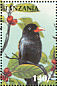 Black Nunbird Monasa atra  1997 Birds of the world Sheet