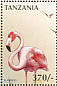 American Flamingo Phoenicopterus ruber  1997 Birds of the world Sheet