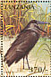 Hamerkop Scopus umbretta  1997 Birds of the world Sheet