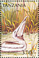 Pink-backed Pelican Pelecanus rufescens  1997 Birds of the world Sheet