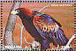 Wedge-tailed Eagle Aquila audax  1998 Eagles of the world  MS