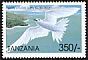 White Tern Gygis alba  1999 Seabirds 