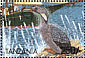Red-legged Cormorant Poikilocarbo gaimardi  1999 Seabirds Sheet