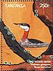 Red-necked Grebe Podiceps grisegena