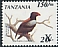 Bateleur Terathopius ecaudatus