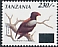 Bateleur Terathopius ecaudatus