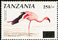 Lesser Flamingo Phoeniconaias minor  2003 Surcharge on 1990.03 