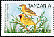 Kilombero Weaver Ploceus burnieri  2006 Endemic birds 