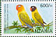 Yellow-collared Lovebird Agapornis personatus  2006 Endemic birds Sheet