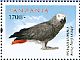 Grey Parrot Psittacus erithacus  2012 Birds of Africa Sheet