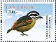 Yellow-rumped Tinkerbird Pogoniulus bilineatus  2012 Birds of Africa Sheet