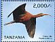 Glossy Ibis Plegadis falcinellus  2015 Ibises of Tanzania Sheet
