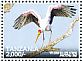 Yellow-billed Stork Mycteria ibis  2015 Birds of Tanzania Sheet