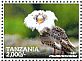 Ruff Calidris pugnax