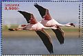 Lesser Flamingo Phoeniconaias minor  2017 Wildlife of Africa 6v sheet