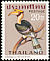 Great Hornbill Buceros bicornis  1967 Thai birds 