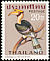 Great Hornbill Buceros bicornis