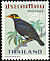 Common Hill Myna Gracula religiosa  1967 Thai birds 