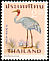 Sarus Crane Antigone antigone  1967 Thai birds 