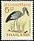 Asian Openbill Anastomus oscitans  1967 Thai birds 