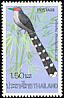 Green-billed Malkoha Phaenicophaeus tristis  1976 Thai birds 