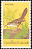 Large Scimitar Babbler Erythrogenys hypoleucos  1976 Thai birds 