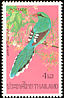 Common Green Magpie Cissa chinensis  1976 Thai birds 