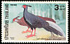Kalij Pheasant Lophura leucomelanos  1988 Pheasants 
