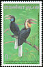 Plain-pouched Hornbill Rhyticeros subruficollis  1996 Hornbill conference 