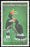 Rhinoceros Hornbill Buceros rhinoceros  1996 Hornbill conference 