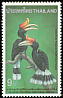 Rhinoceros Hornbill Buceros rhinoceros