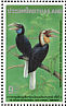Plain-pouched Hornbill Rhyticeros subruficollis  1996 Hornbill conference Sheet