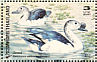 Knob-billed Duck Sarkidiornis melanotos  1996 Ducks Sheet