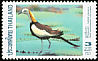 Pheasant-tailed Jacana Hydrophasianus chirurgus  1997 Birds 