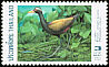 Bronze-winged Jacana Metopidius indicus  1997 Birds 