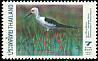 Black-winged Stilt Himantopus himantopus  1997 Birds 