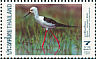 Black-winged Stilt Himantopus himantopus  1997 Birds Sheet
