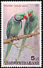 Alexandrine Parakeet Psittacula eupatria  2001 Parrots p 14x14¾