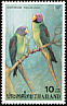 Blossom-headed Parakeet Psittacula roseata  2001 Parrots p 14x14Â¾