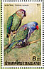 Blue-rumped Parrot Psittinus cyanurus