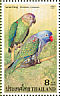 Blue-rumped Parrot Psittinus cyanurus