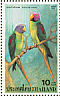 Blossom-headed Parakeet Psittacula roseata